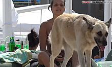 Garota amadora de peitos pequenos brincando com um cachorro na praia